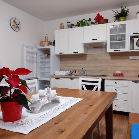 Apartman Pod Bozim Darem Jáchymov Eksteriør bilde