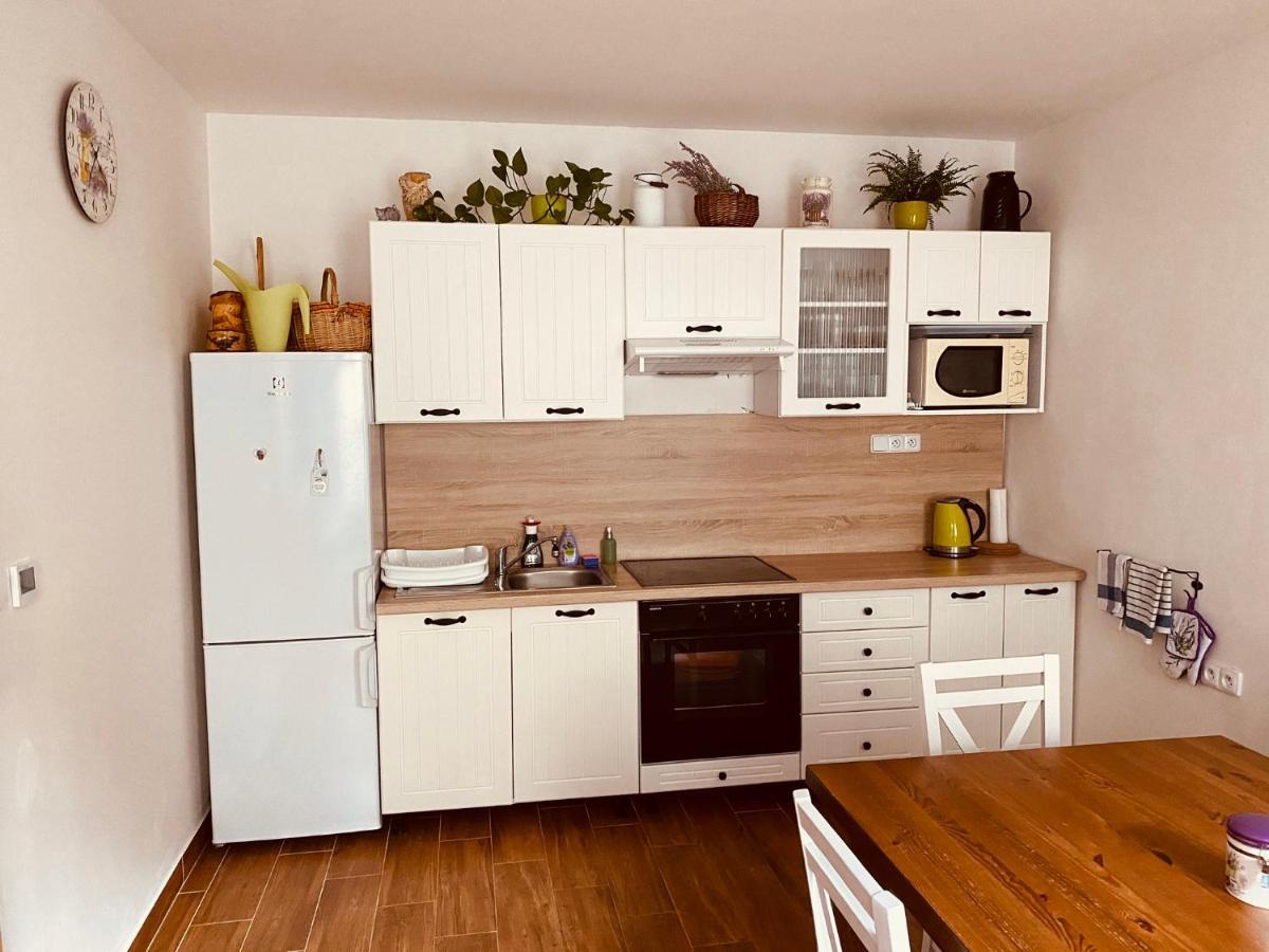 Apartman Pod Bozim Darem Jáchymov Eksteriør bilde